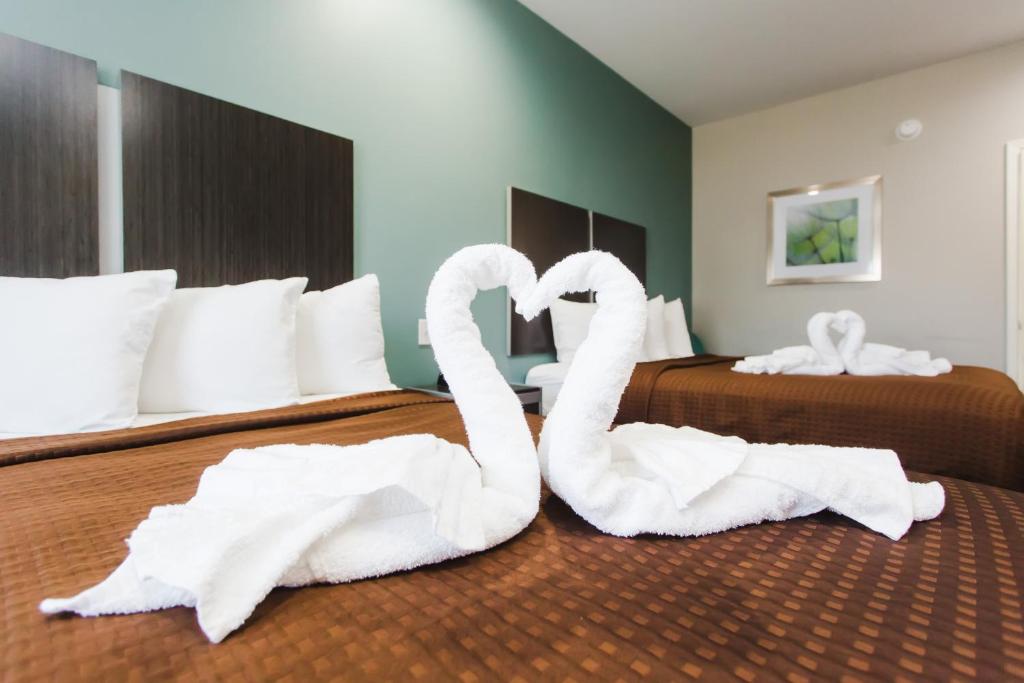 Postel nebo postele na pokoji v ubytování Express Inn - Spring