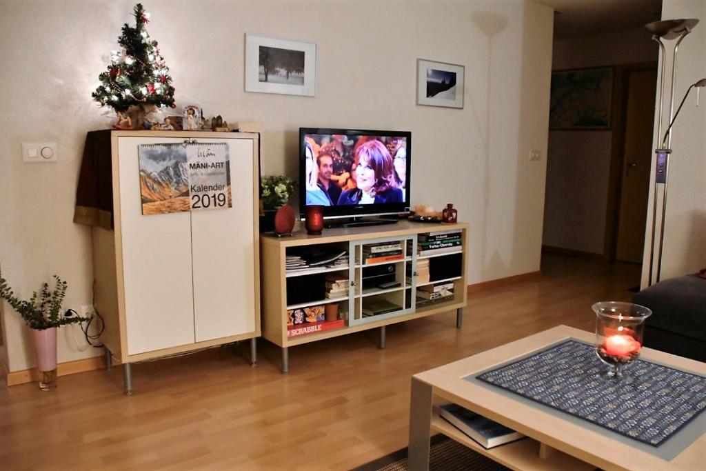 Televiisor ja/või meelelahutuskeskus majutusasutuses Ferienwohnung Schaap-Müller