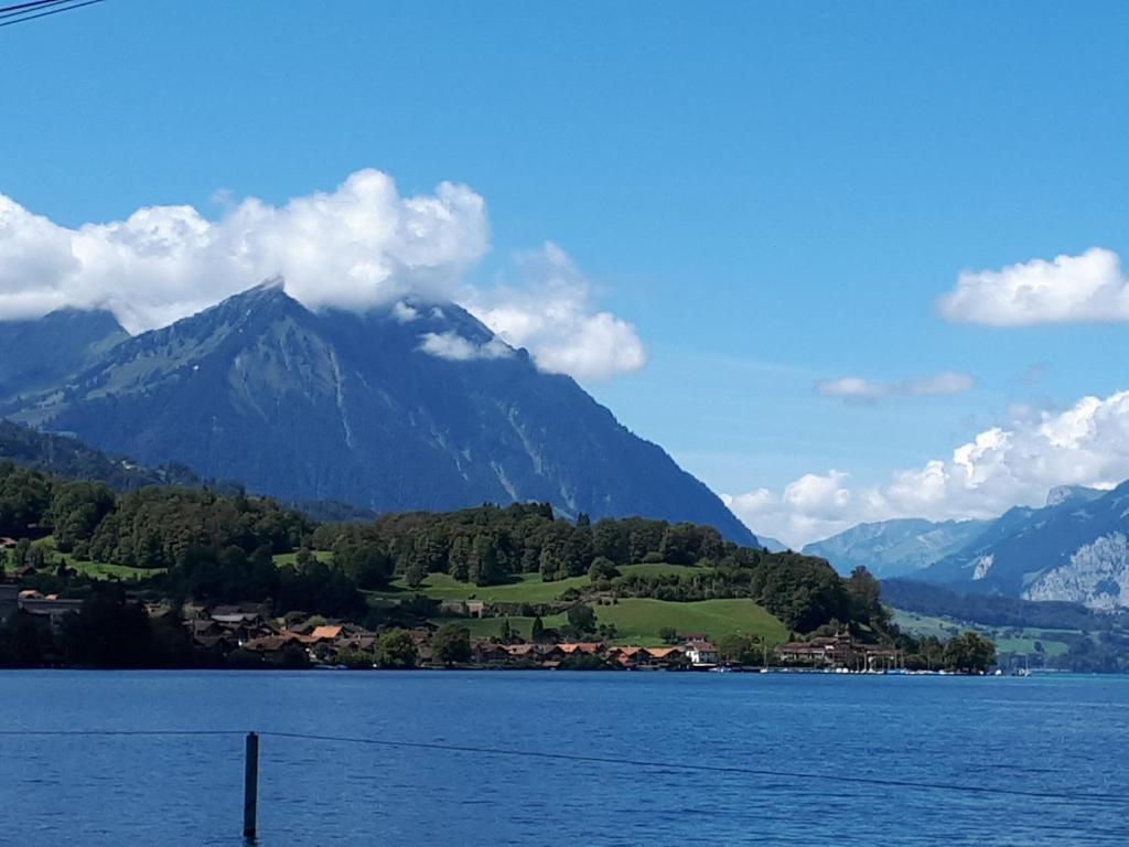 ein Berg vor einem Wasserkörper in der Unterkunft Berner Oberland Am Thunersee in Därligen