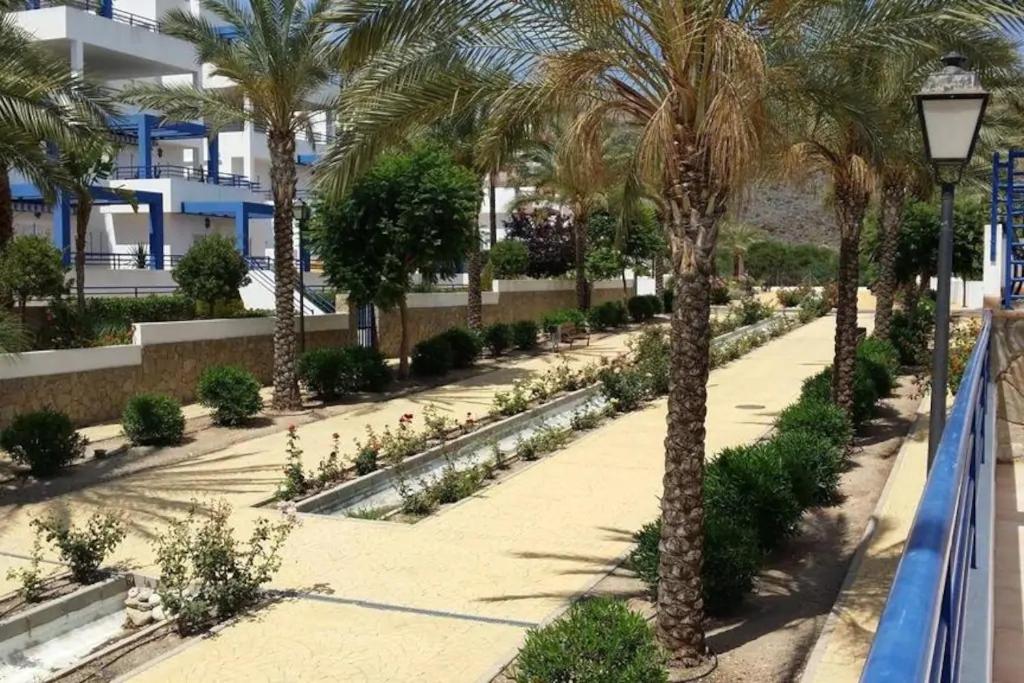 Ogród w obiekcie Pueblo Dorado, Mojacar