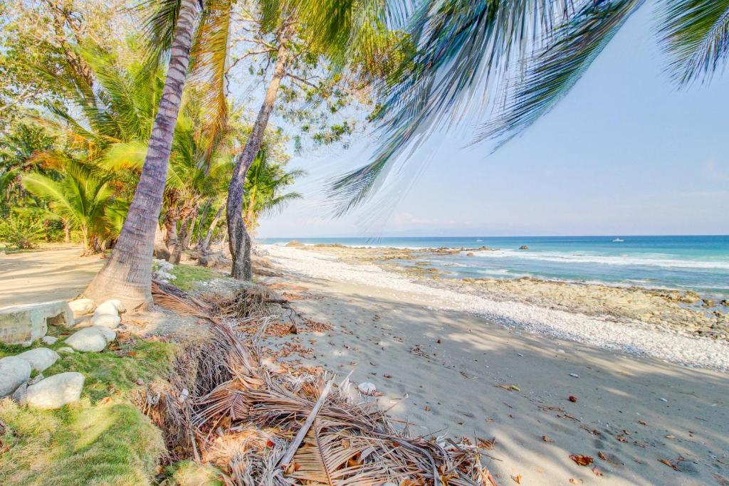 une plage de sable avec des palmiers et l'océan dans l'établissement CASA CONTIKI, à Cabo Matapalo