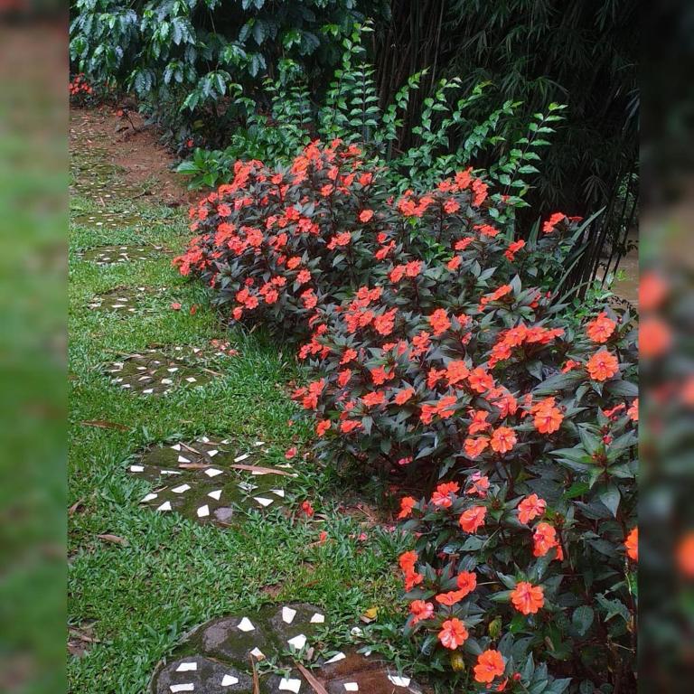 Pousada Murmúrio das Águas