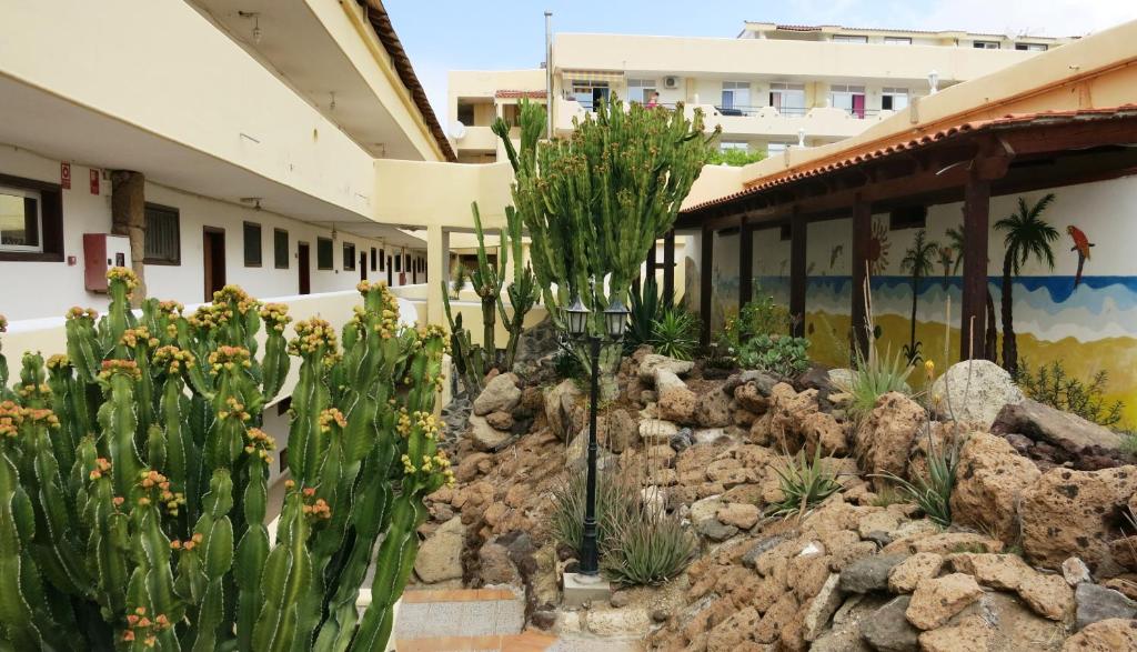 a cactus garden in front of a building at Holiday apartment Paraiso in Playa Paraiso