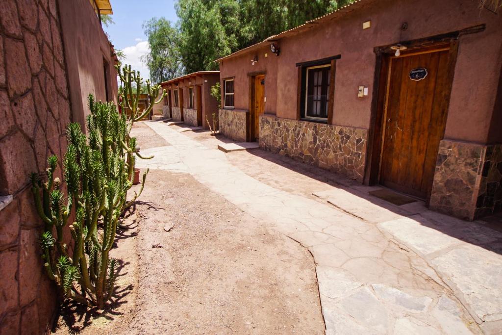 an alley with a cactus next to a building at Quinta Adela Bed & Breakfast in San Pedro de Atacama