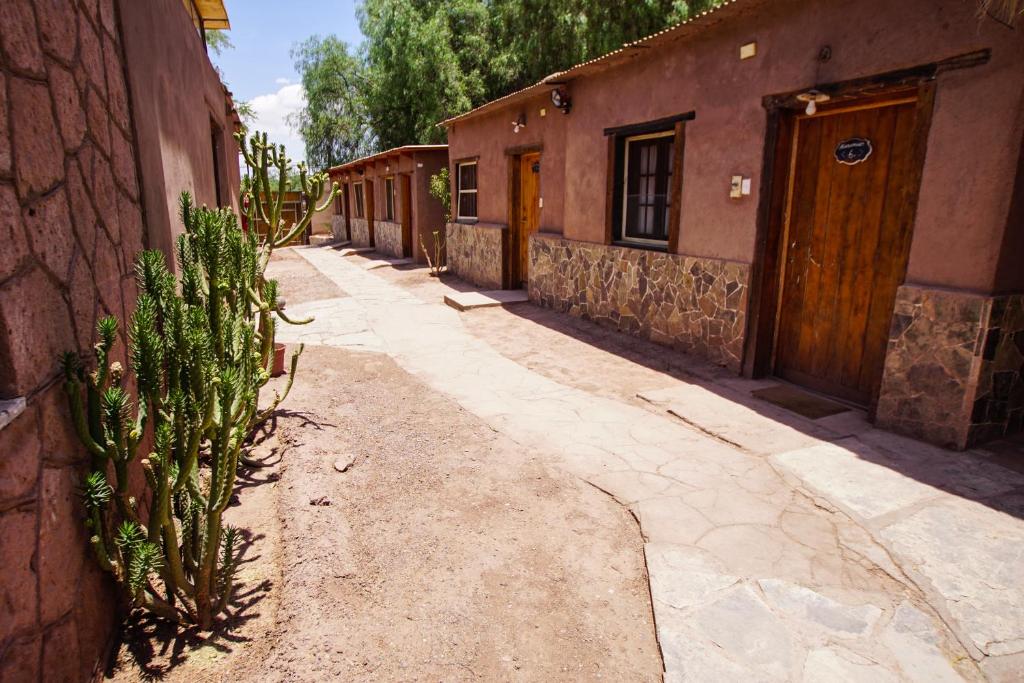 an alley with a cactus next to a building at Quinta Adela Bed & Breakfast in San Pedro de Atacama