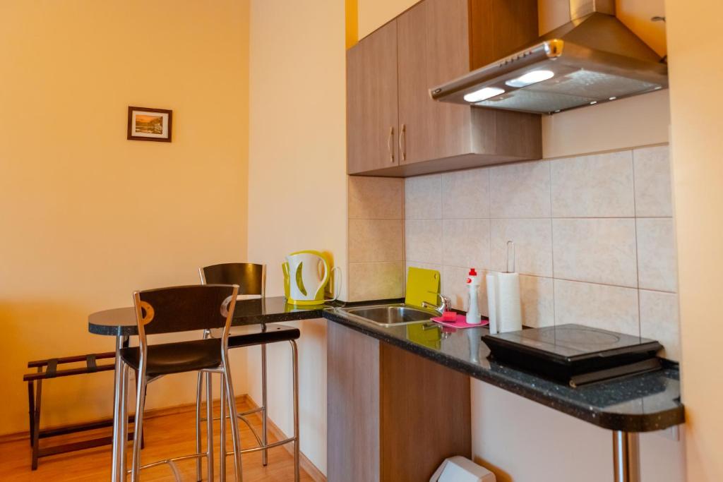 Kuchyň nebo kuchyňský kout v ubytování Apart Hotel Tomo FREE PARKING