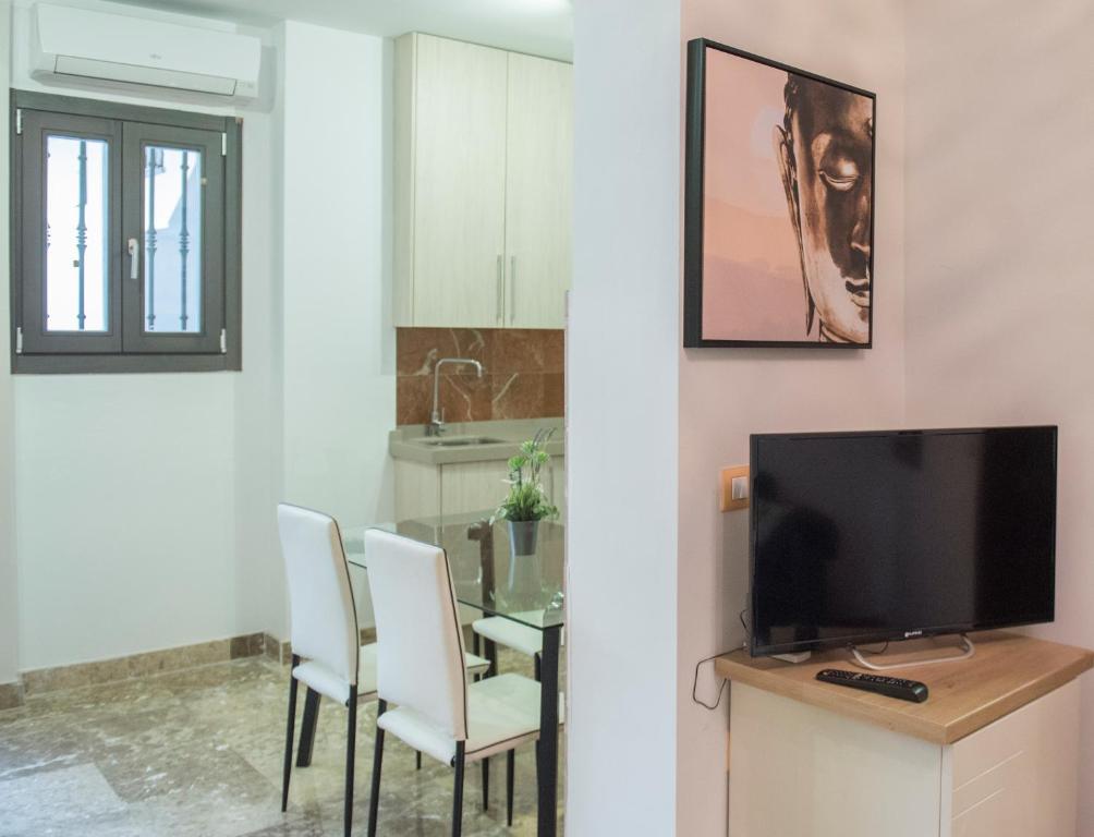 Televízia a/alebo spoločenská miestnosť v ubytovaní Apartamentos Luxury Puente de Triana
