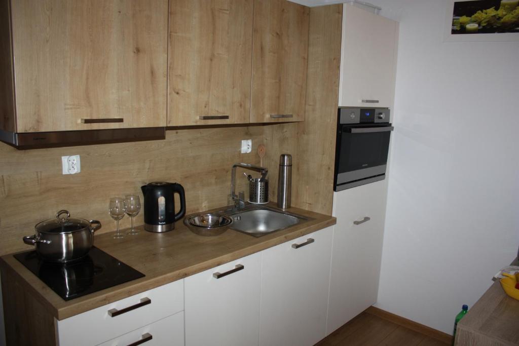 Kuchyňa alebo kuchynka v ubytovaní KOLOBRZEG apartamenty GREG POLANKI