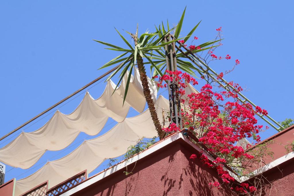 Fotografie z fotogalerie ubytování Riad Celia v Marrákéši