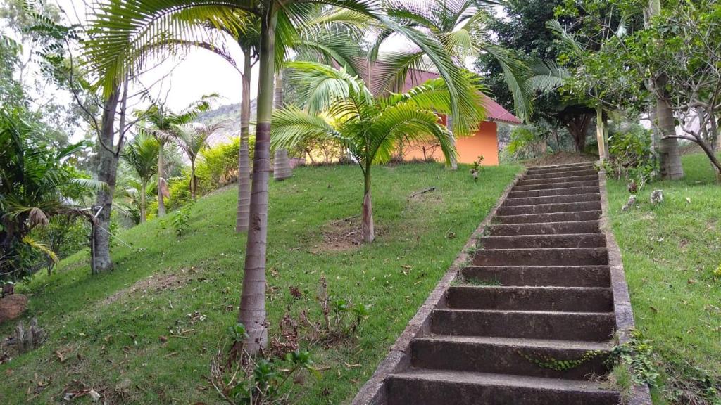 a set of stairs in a field with palm trees at Recanto das Águas in Brejetuba