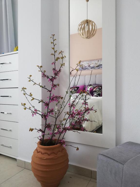 Fotografie z fotogalerie ubytování Meltemi Beach Apartments v destinaci Milatos