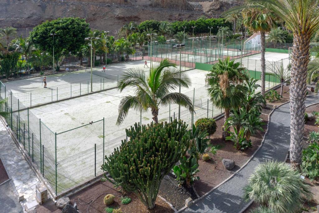 Tenis lub squash w obiekcie Stunning Views Guaranteed lub w pobliżu
