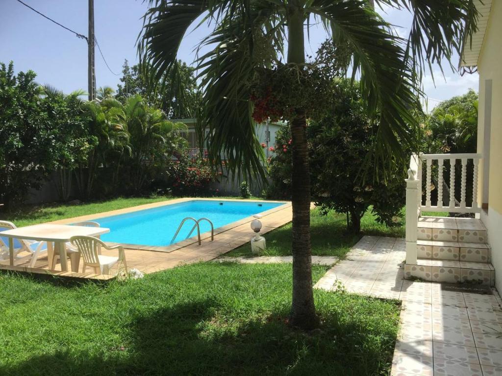 una piscina in un cortile con una palma di T2 tropical en bord de piscine à 100m de la mer a Le Carbet