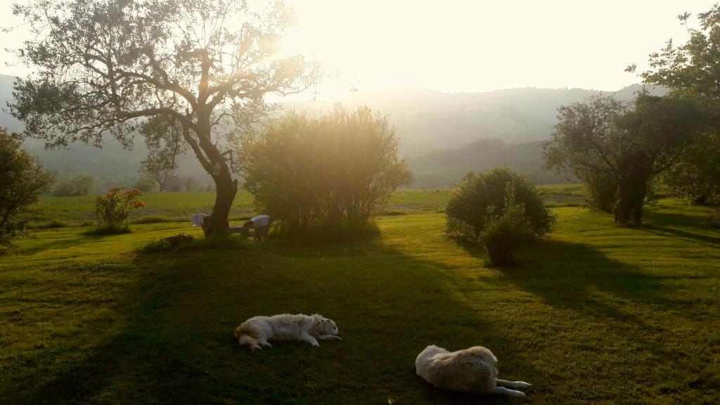 Príroda v okolí of the bed and breakfast