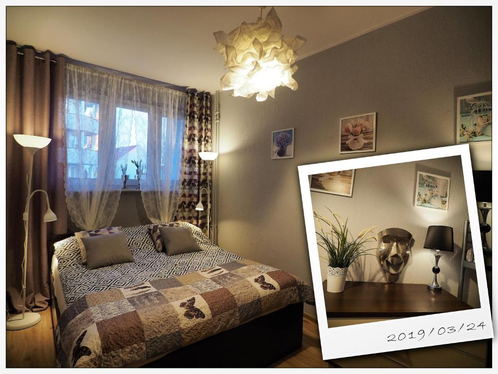 1 dormitorio con cama y espejo en KGHN Apartments Tkacka 28 en Szczecin