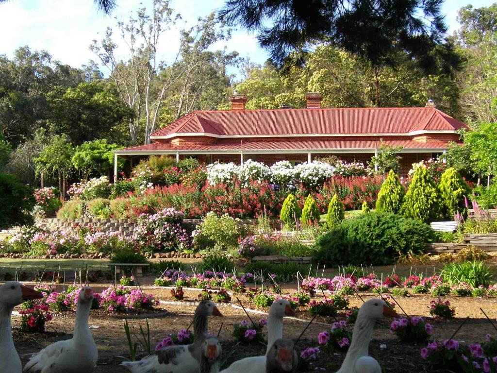 a garden with ducks in front of a building at Ford House Bed & Breakfast in Bridgetown
