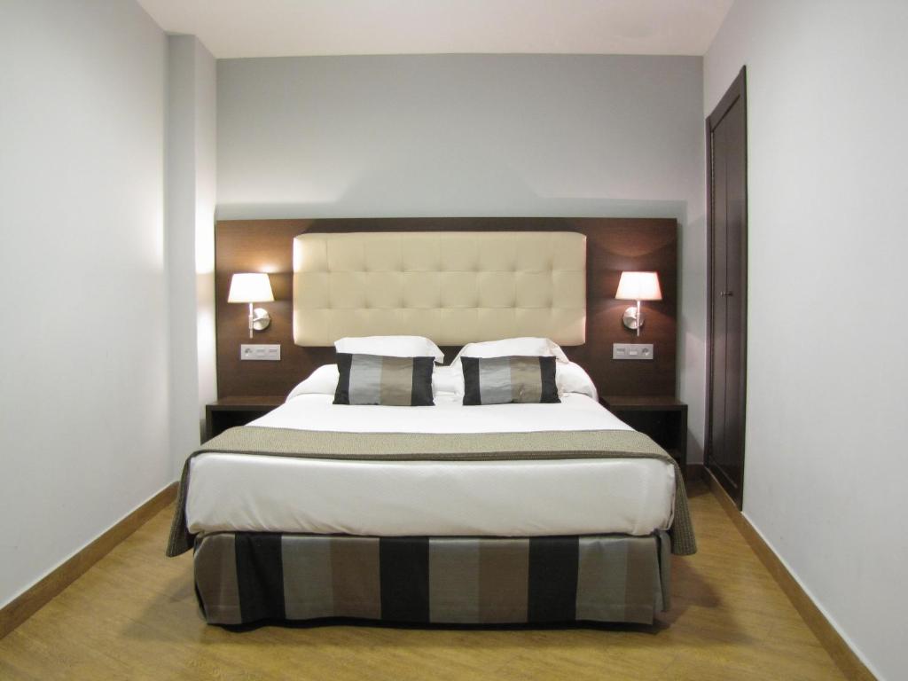 1 dormitorio con 1 cama grande y 2 almohadas en Apartamentos Boutique Catedral, en Valladolid