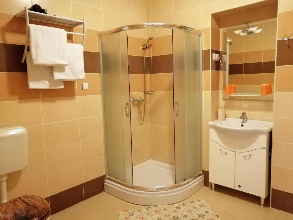 a bathroom with a shower and a sink at Apollo Vendégház in Edelény