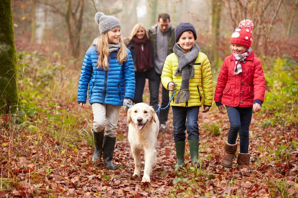 Macdonald Woodland Lodges at Macdonald Aviemore Resort - Lodge De Bosque De 3 Camas