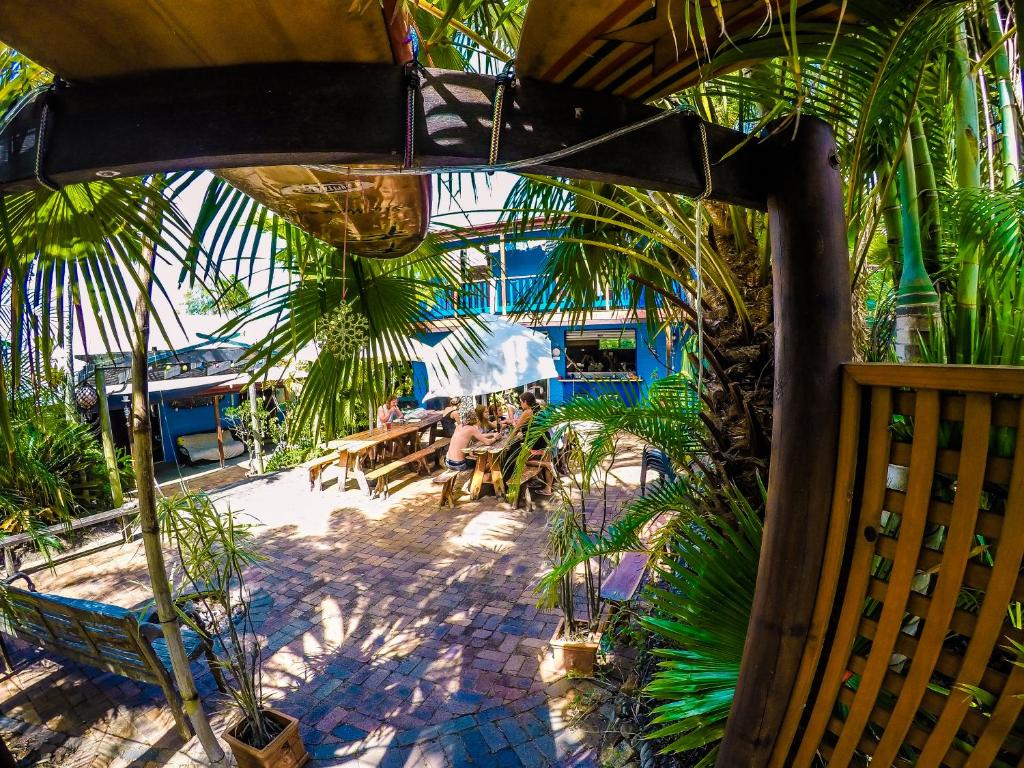 una vista aérea de un patio con palmeras en Cool Bananas Backpackers, en Agnes Water