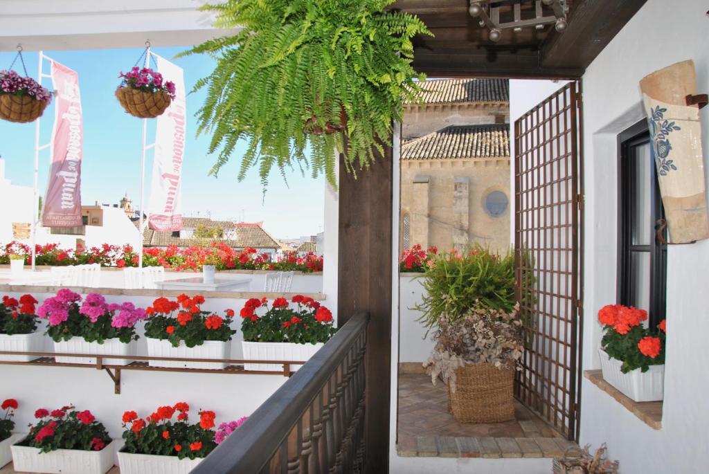 Suites La Posada De Pilar - Resim 27