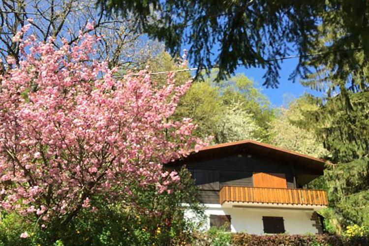 Chalet Chez Mamie Gateau Dabo France Booking Com Chalet Chez Mamie Gateau Dabo France Booking Com