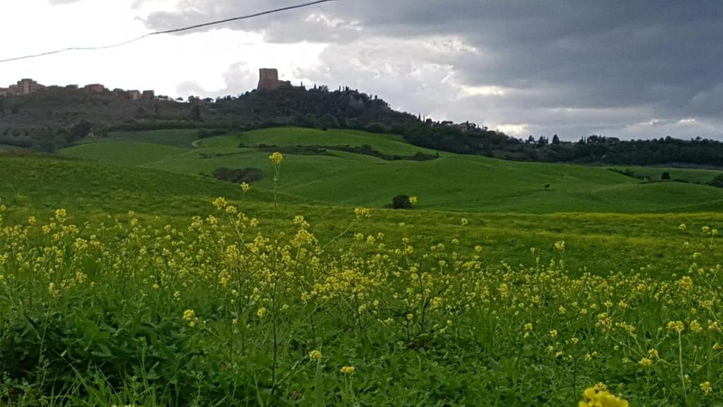 een groen veld met een kasteel op de achtergrond bij La Casa del susino in Castiglione dʼOrcia