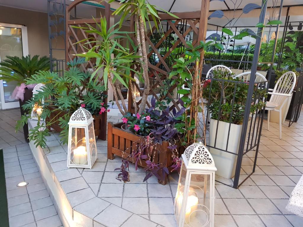 Zahrada ubytování Hotel Beppe