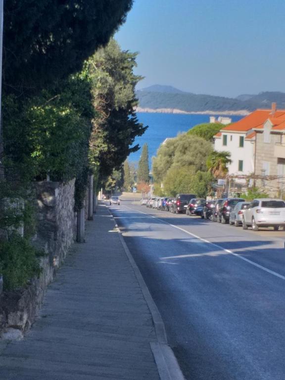 Príroda v okolí apartmánu