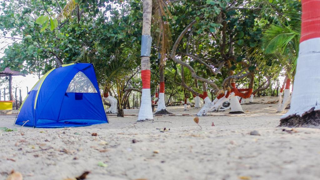 Taman di luar Playa Samara Hostel