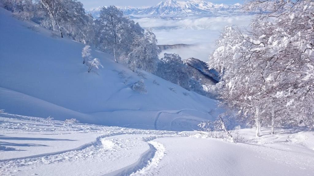 a snow covered slope with trees and a mountain at Nozawa Dream Central in Nozawa Onsen