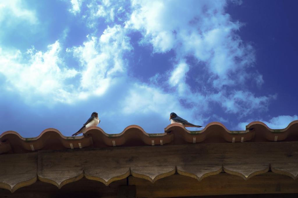 Fotografie z fotogalerie ubytování Toong homestay v destinaci Ha Giang