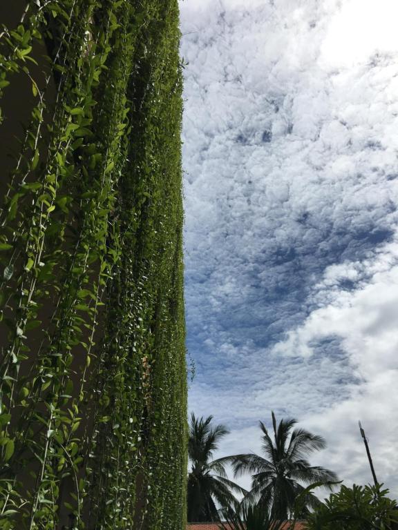 Saka Boutique Hotel - 10