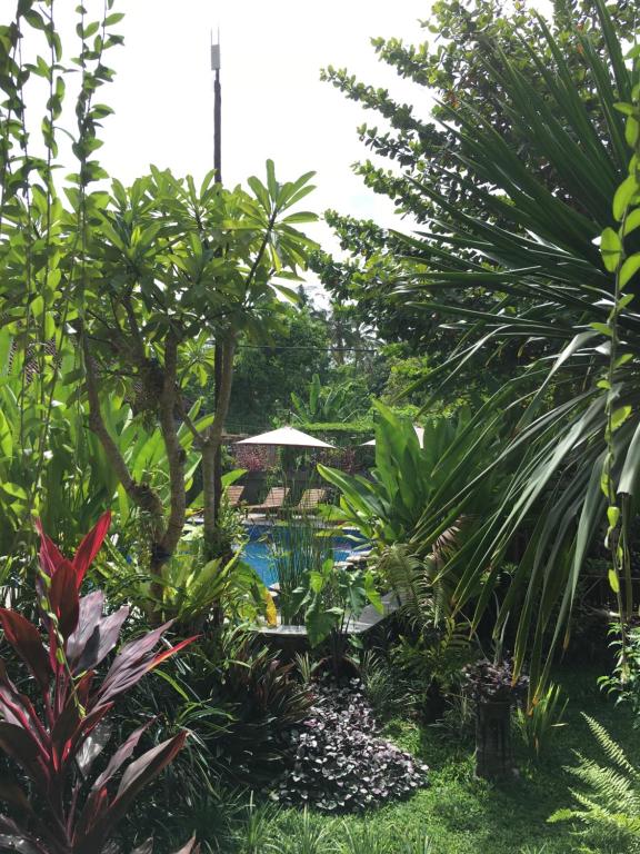 Saka Boutique Hotel - 13