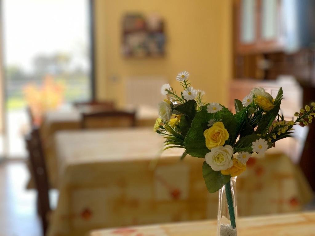 Fotografie z fotogalerie ubytování b&b DOREMI v destinaci Osimo