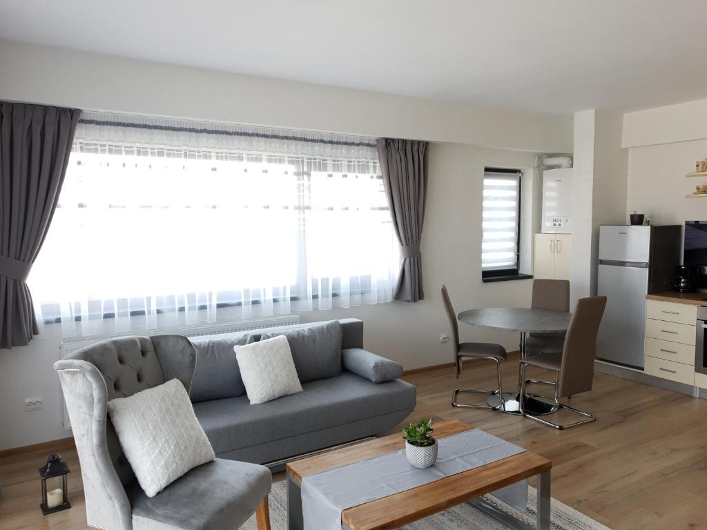 特爾古穆列什的住宿－cosy apartment II，客厅配有沙发和桌子