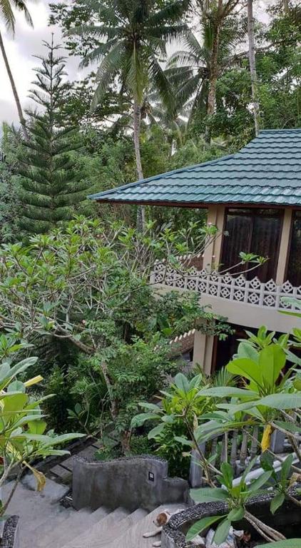 Zahrada ubytování Tangkoko Sanctuary Villa