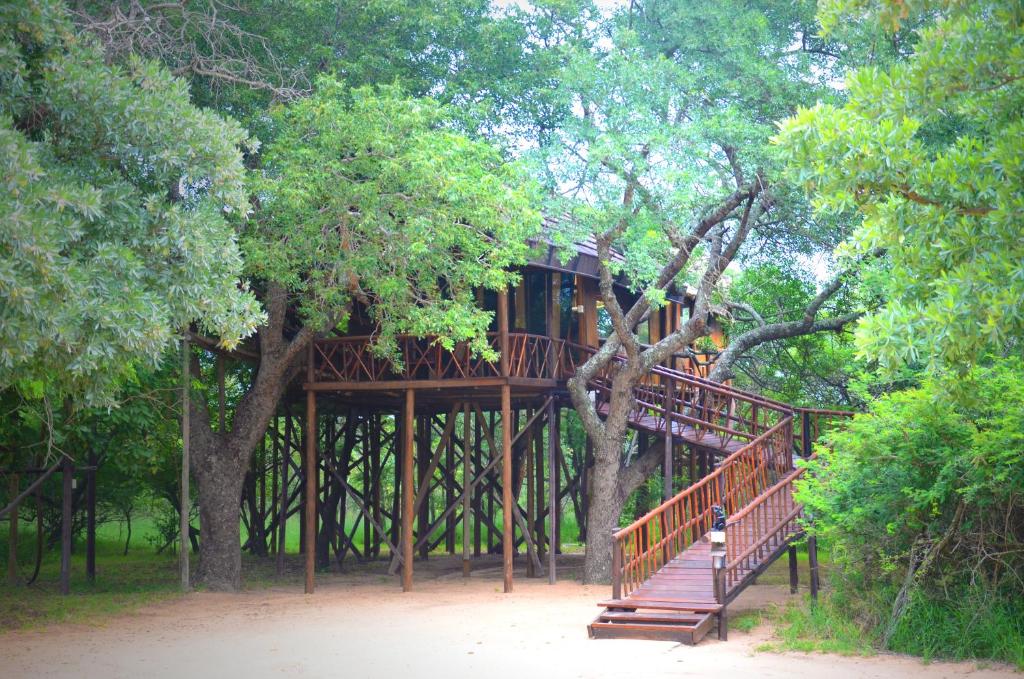 Pezulu Tree House Lodge - 