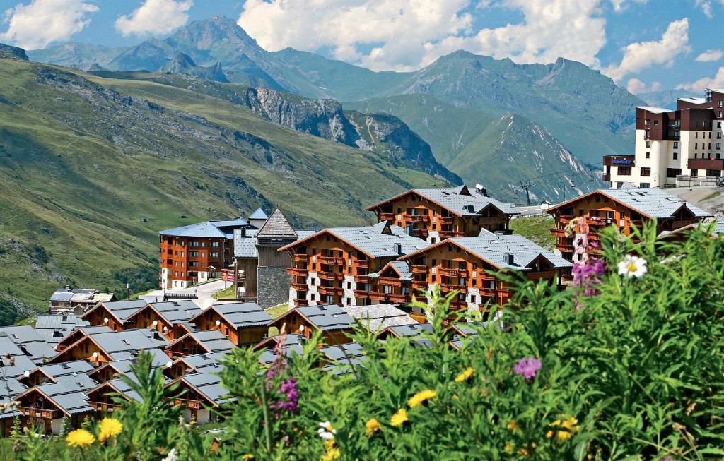 a village in the mountains with buildings and flowers at Résidence Pierre & Vacances Premium Les Alpages de Reberty in Les Menuires
