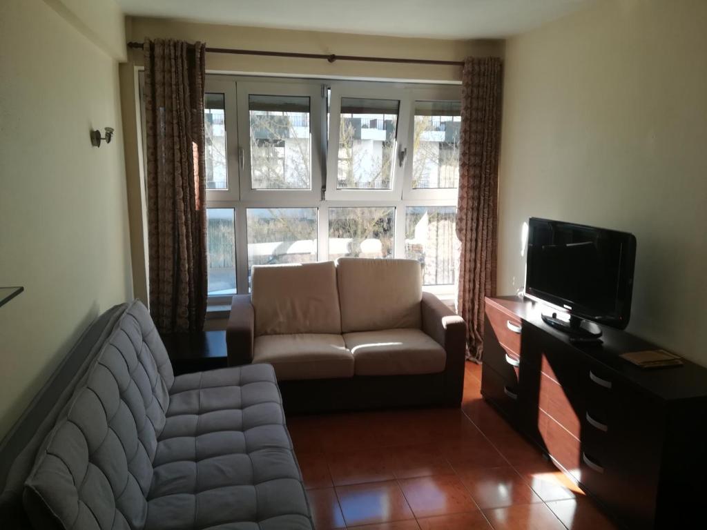 a living room with a couch and a tv at Apartamento T1 - 3min do Santuário in Fátima