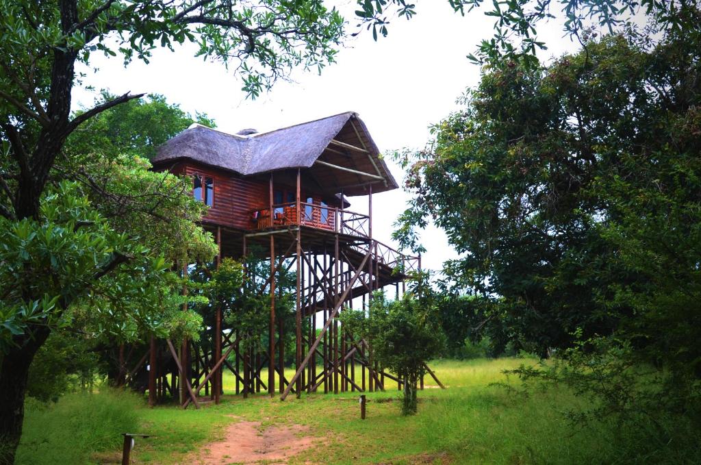 Pezulu Tree House Lodge - 