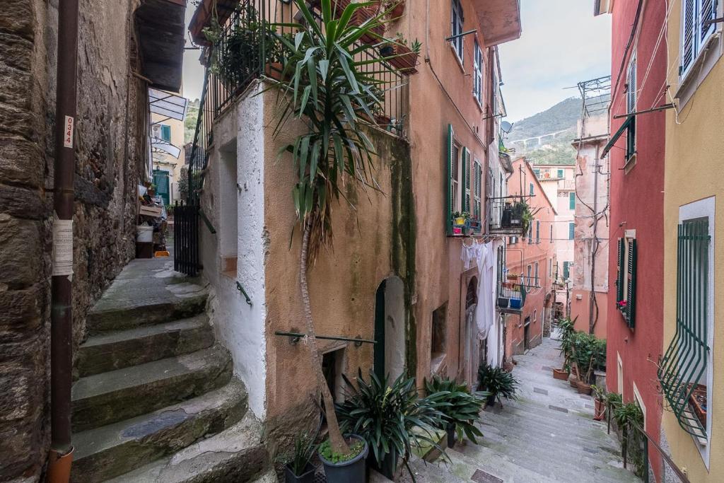 an alley with stairs and plants in an old building at The Captain's House in Monterosso al Mare