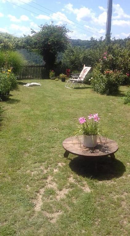 Zahrada ubytování B&B Jonovic