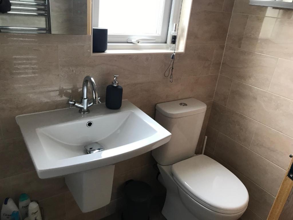 a bathroom with a sink and a toilet and a window at The Stoep in Paignton