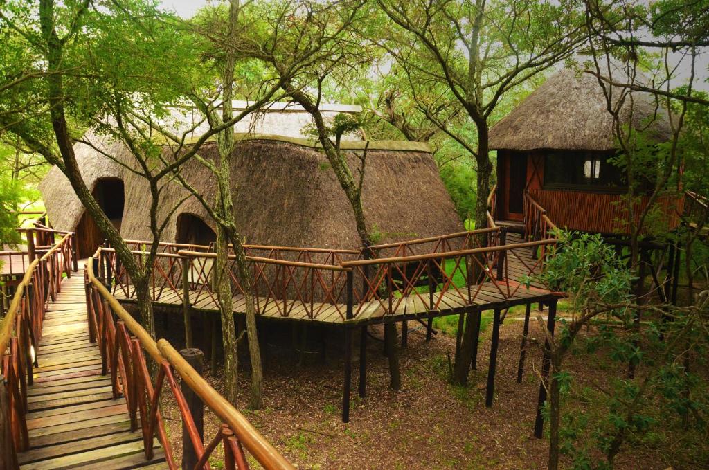 Pezulu Tree House Lodge - Двухместный номер