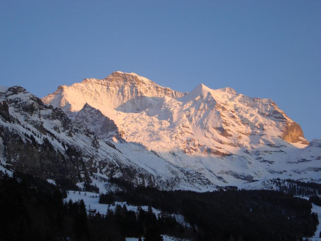 Hotel Berghaus photo