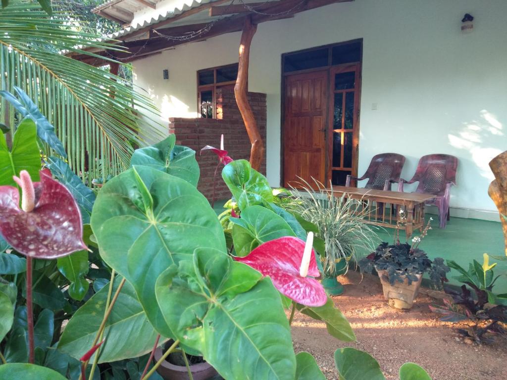 Zahrada ubytování Amaya River Side Homestay