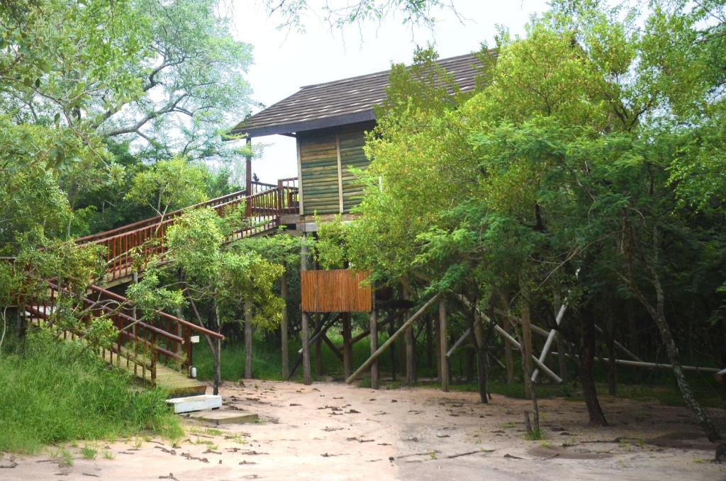 Pezulu Tree House Lodge - 
