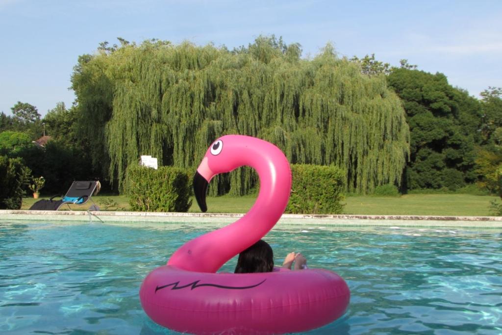 uma pessoa num flamingo rosa flutua numa piscina em Château de Fourcès em Fourcès