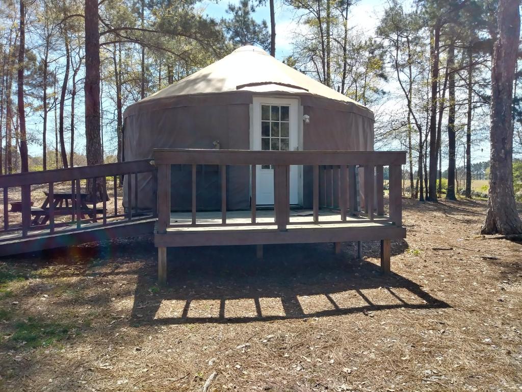 Fotografie z fotogalerie ubytování Pine Mountain RV Resort v destinaci Pine Mountain